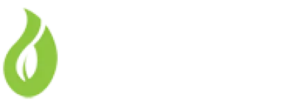 Луковици
